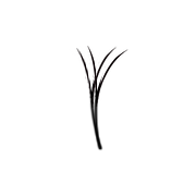 YY