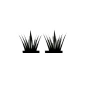 cluster
