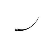 flat